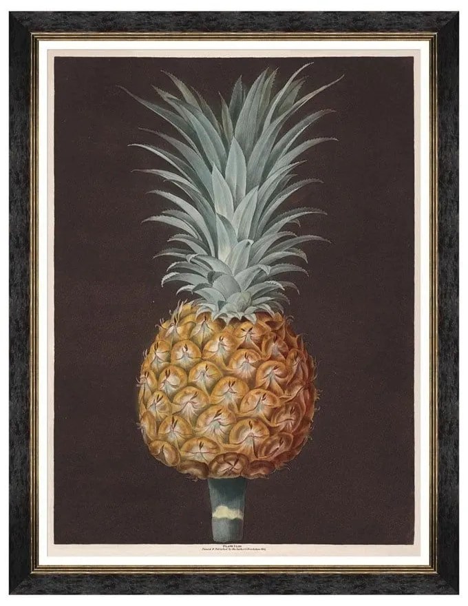 Κάδρο Pineapples Of Antigua - The Antigua Pine By Brookshaw FA13199 60X80 MindTheGap Κάθετοι Ξύλο