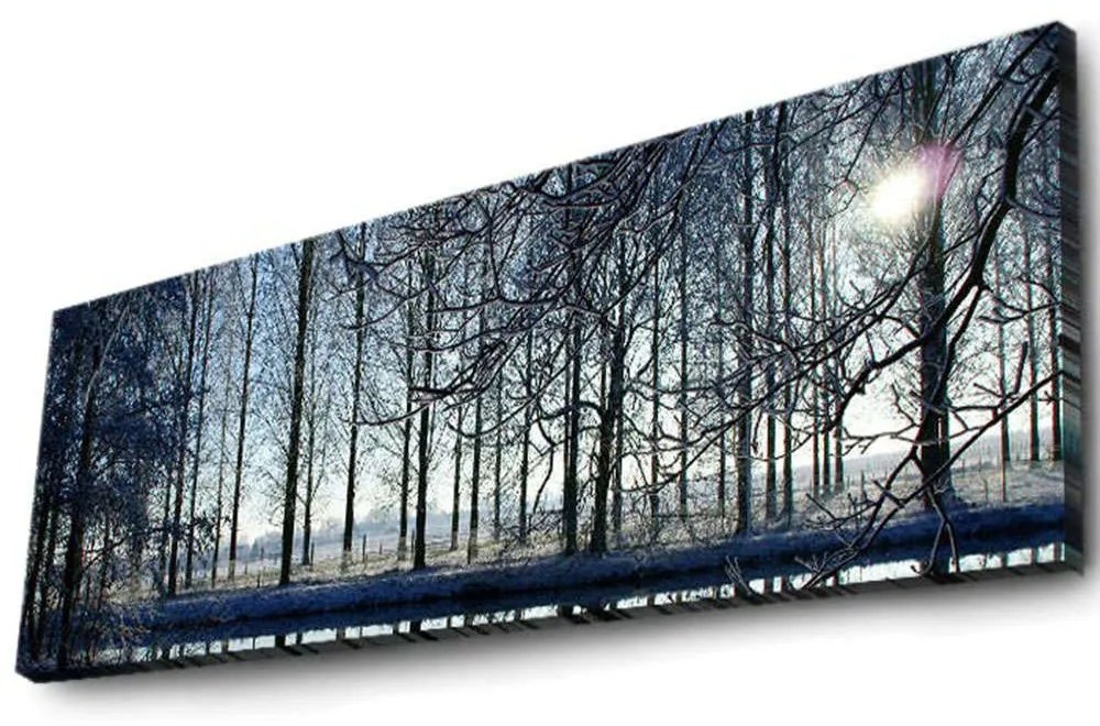 Πίνακας Καμβάς Με Φως Led 239SHN3261 90x30cm Multi Wallity Οριζόντιοι Ξύλο, Καμβάς