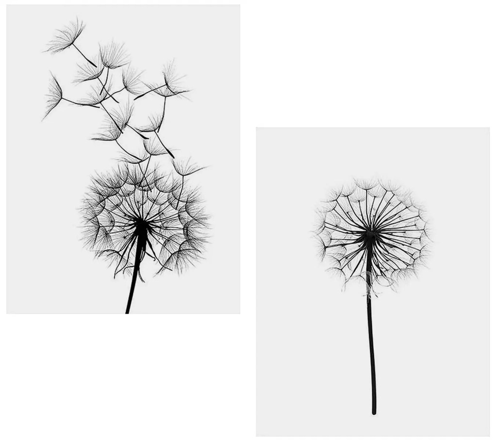 ΠΙΝΑΚΑΣ ΔΙΠΤΥΧΟ MDF ΠΙΚΡΑΛΙΔΑ HM7203.02 60x40x2,7 εκ.