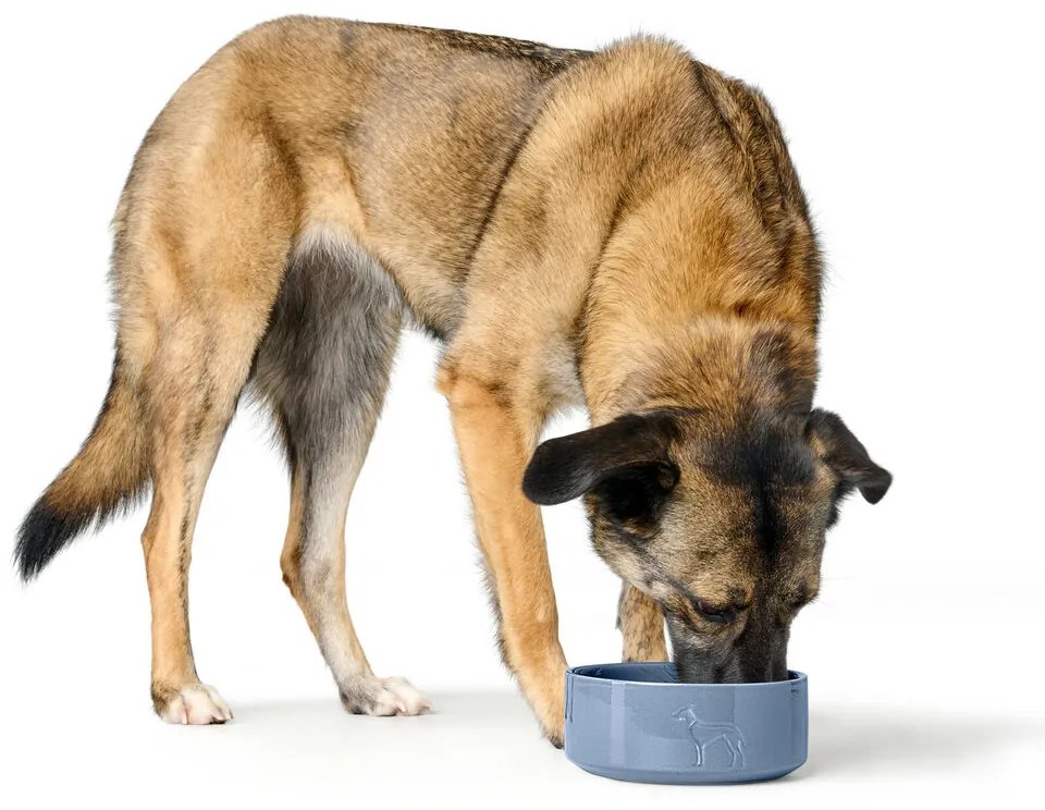 Ταΐστρα σκύλων Hunter OSBY Μπλε Κεραμικά 1,1 L