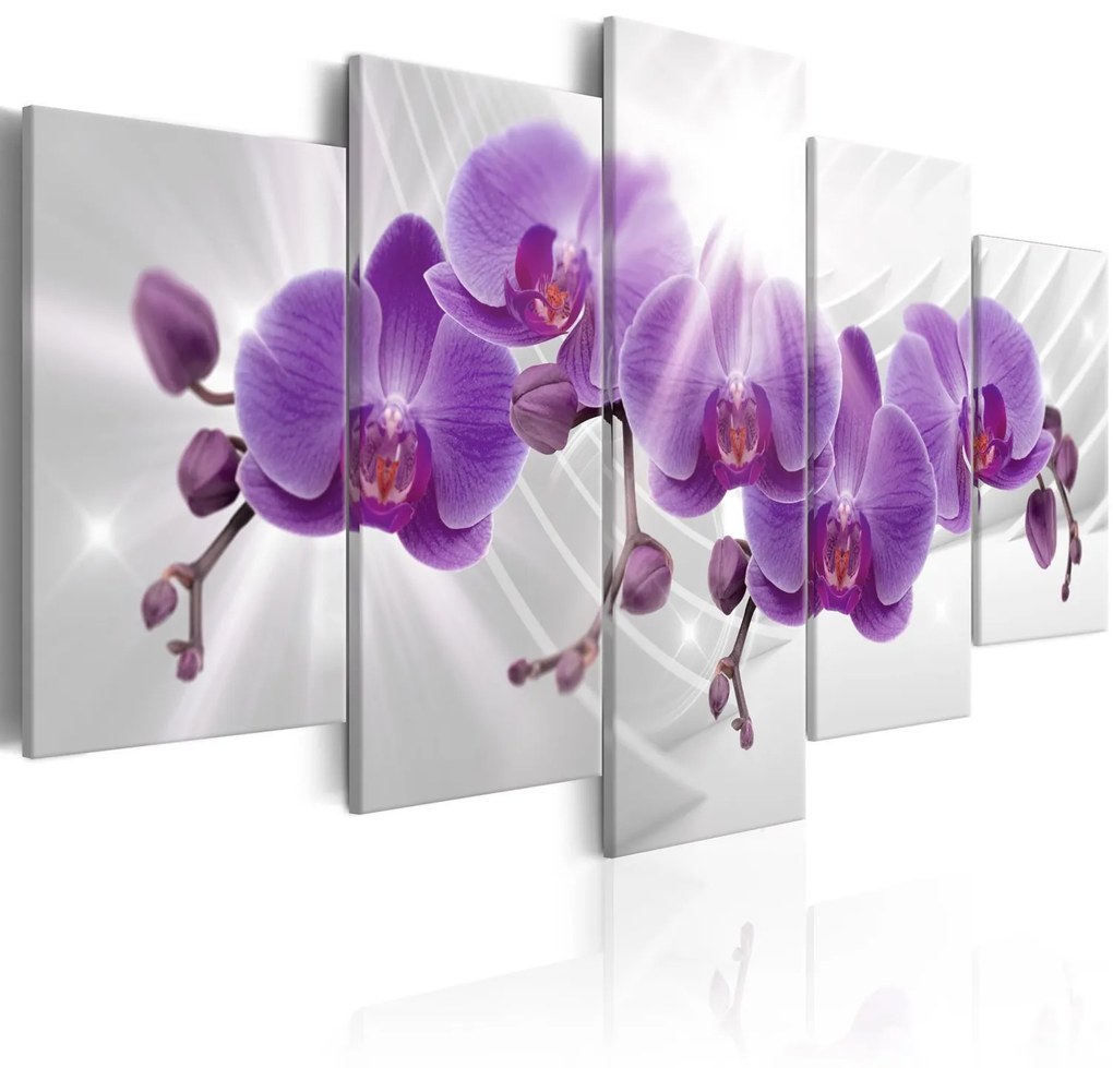 Πίνακας - Abstract Garden: Purple Orchis 100x50