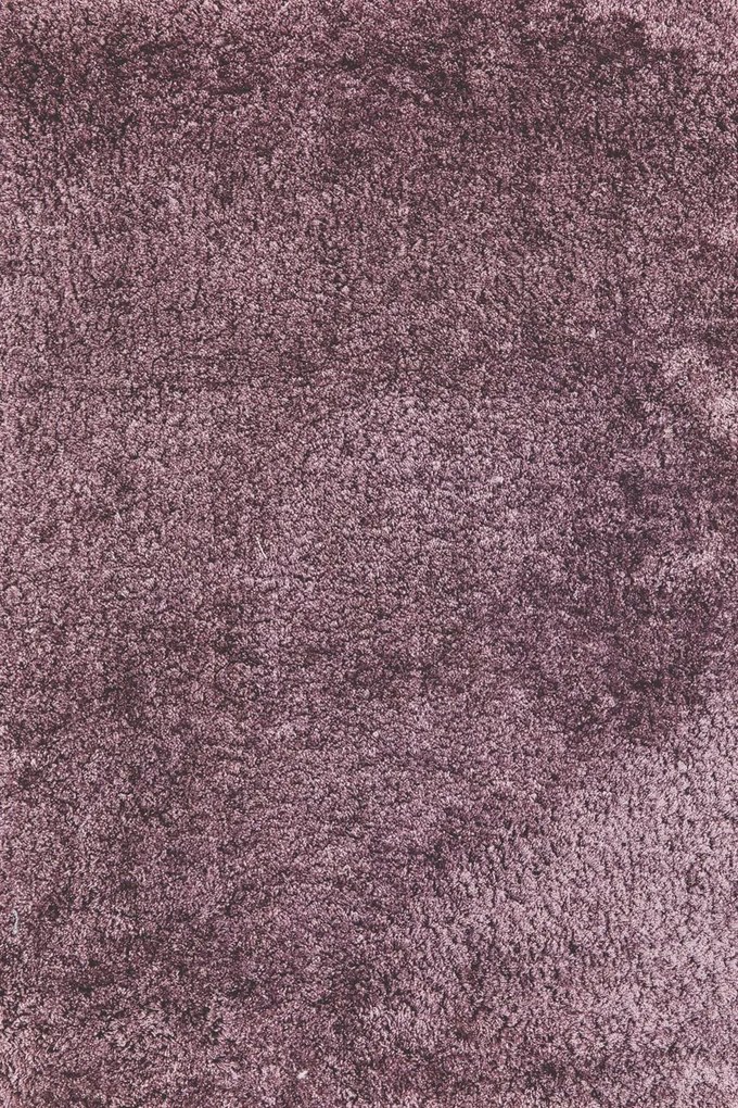 Χαλί Venus Violet Ns Carpets 200X290cm