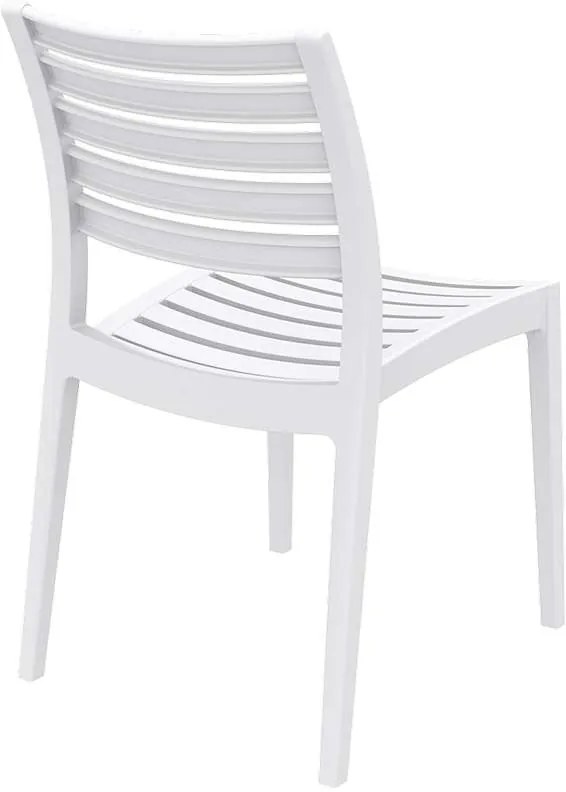 ΚΑΡΕΚΛΑ ΠΟΛΥΠΡΟΠΥΛΕΝΙΟΥ WHITE