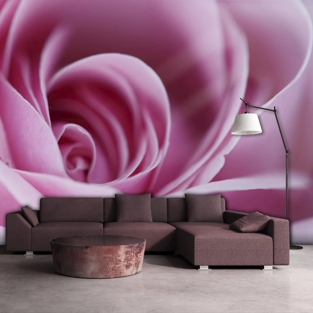 Φωτοταπετσαρία - Pink rose 350x270