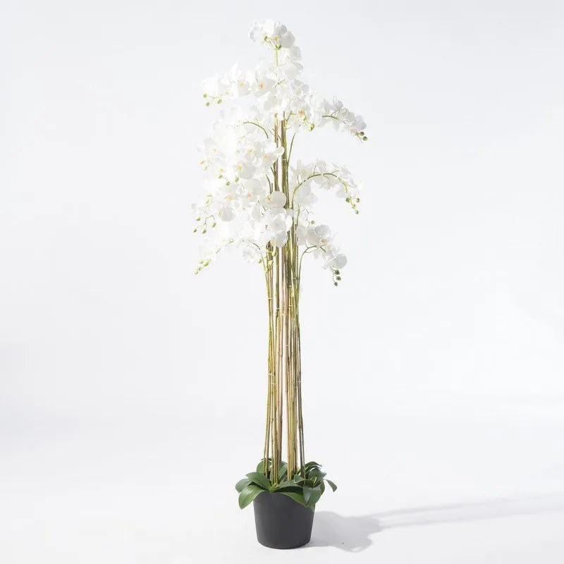 Supergreens Τεχνητό Φυτό Ορχιδέα Phalaenopsis Λευκό 180 εκ.