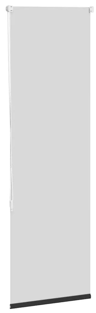 Roller Blind Blackout Μαύρο 50x150 cm Πλάτος υφάσματος 45,7 cm - Μαύρο