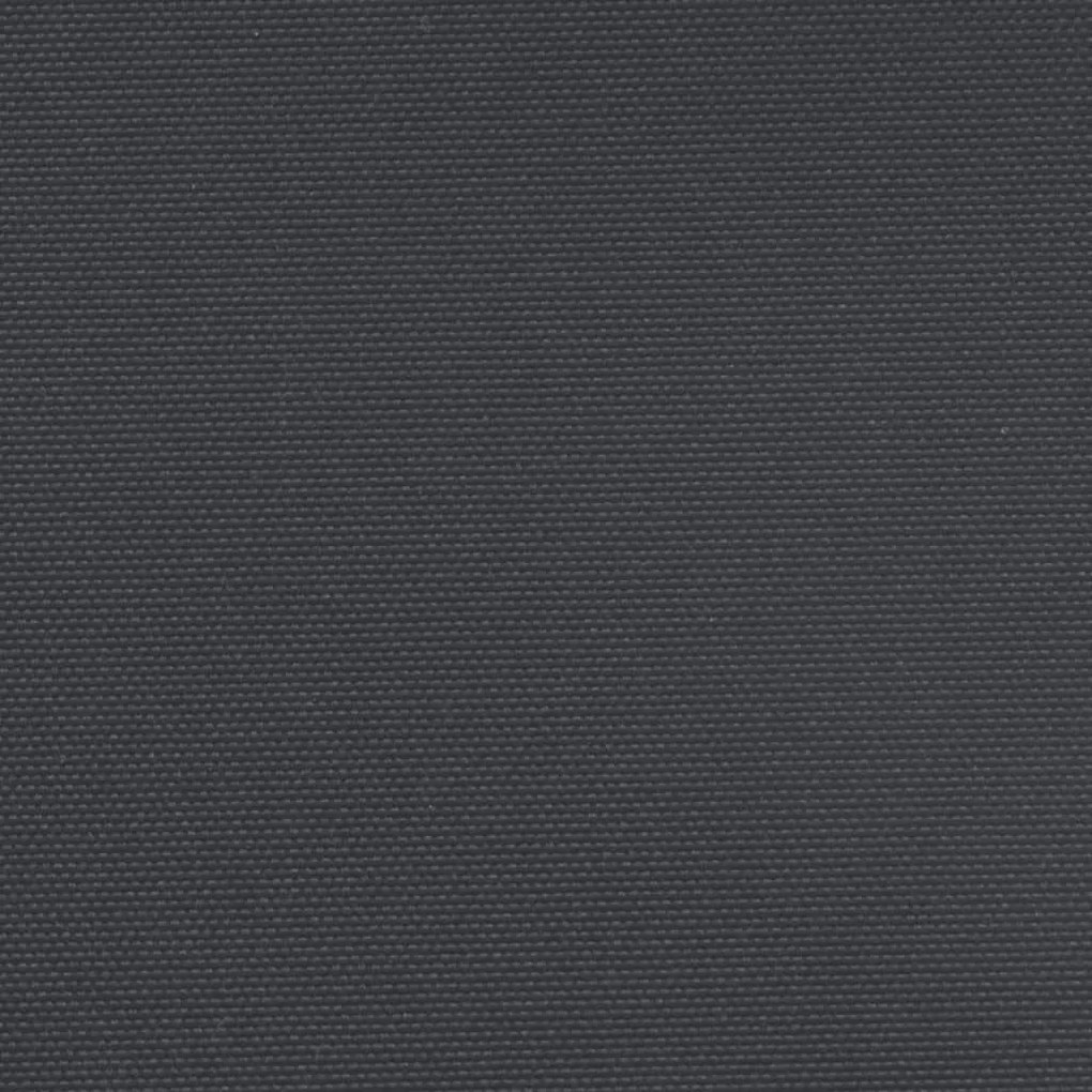 Σκίαστρο Πλαϊνό Συρόμενο Μαύρο 120 x 500 εκ. - Μαύρο