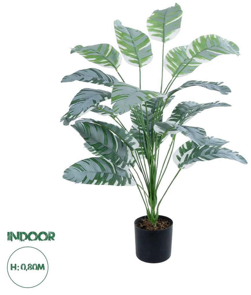 GloboStar® Artificial Garden BANANA ZEBRA 20919 Διακοσμητικό Φυτό Μπανανιά Ζέβρα Υ80cm