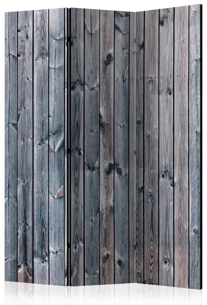 Διαχωριστικό με 3 τμήματα - Rustic Elegance [Room Dividers] 135x172