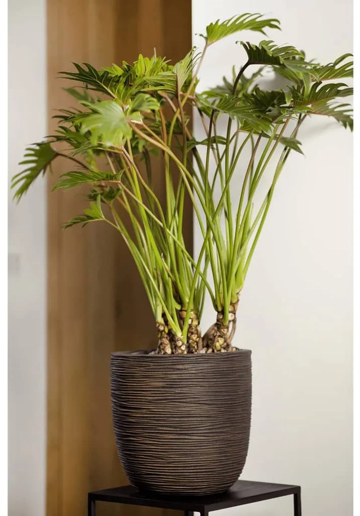 Capi Γλάστρα Οβάλ Nature Rib Σκούρο Καφέ 35 x 34 εκ.