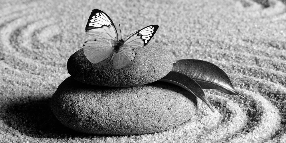 Εικόνα πεταλούδας σε πέτρα Ζεν σε ασπρόμαυρο