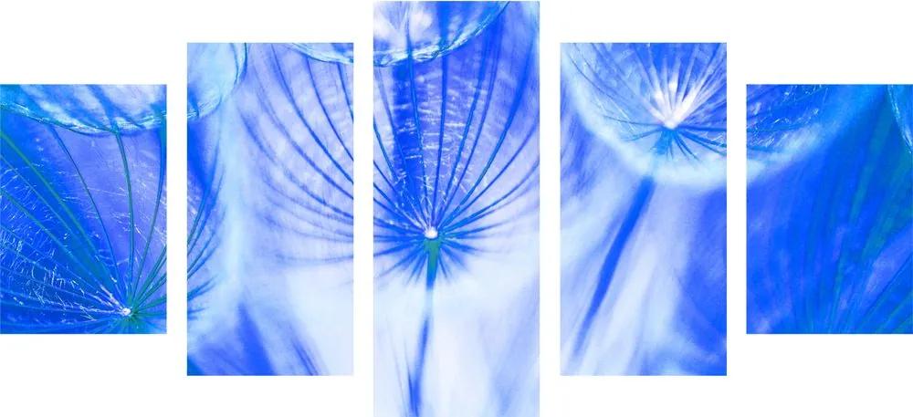 Εικόνα 5 τμημάτων Πικραλίδα σε μπλε - 100x50