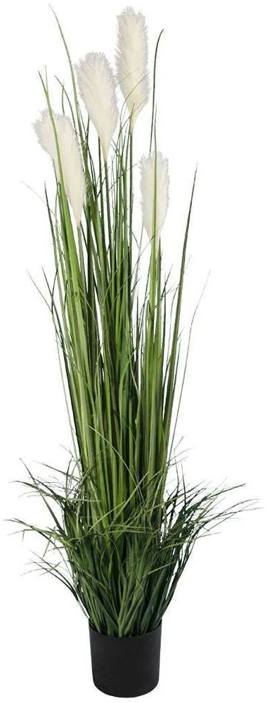 Τεχνητό Φυτό Pampas Grass 20106 Φ65x150cm Green-White GloboStar PVC