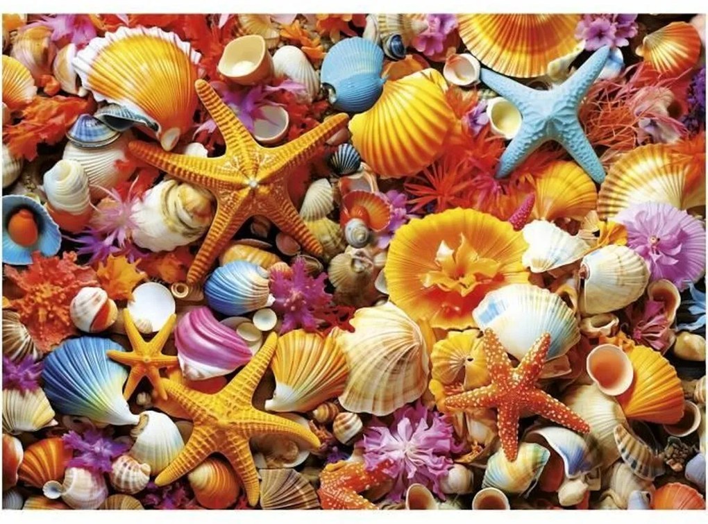 Παζλ Educa Collage de Conchas 1000 Τεμάχια