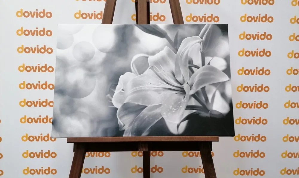 Εικόνα ενός λουλουδιού κρίνου σε αφηρημένο φόντο σε μαύρο & άσπρο - 120x80