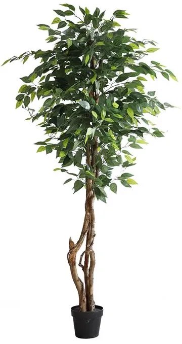 FICUS TREE NP5209_180  ΥΨΟΣ 180cm NewPlan