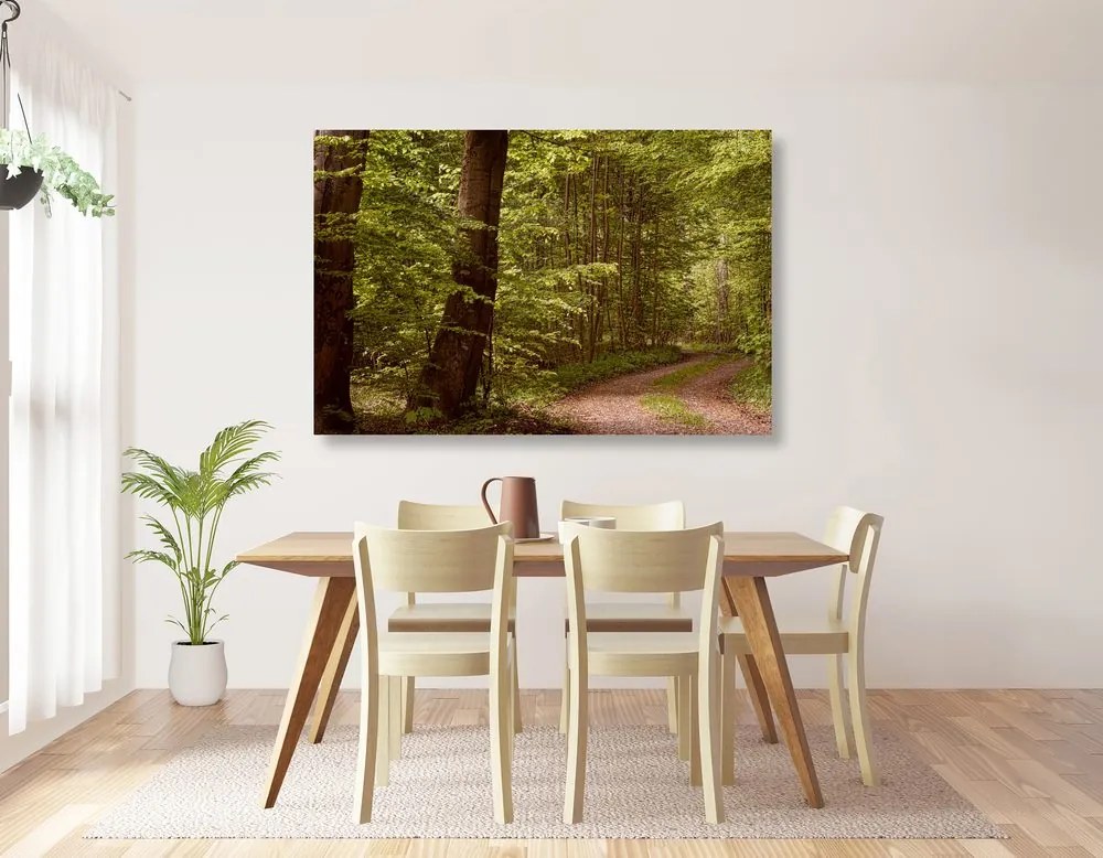 Εικόνα πράσινο δάσος - 60x40