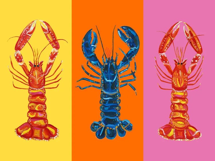 Εικονογράφηση Lobster Langoustines Pop Art 3, Alice Straker