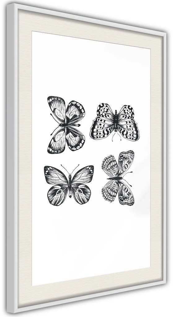 Αφίσα - Butterfly Collection III B - 20x30 - Χρυσό - Με πασπαρτού