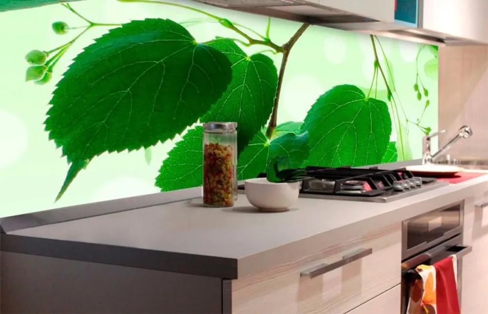 Αυτοκόλλητη φωτοταπετσαρία για πράσινα φύλλα κουζίνας - 260x60