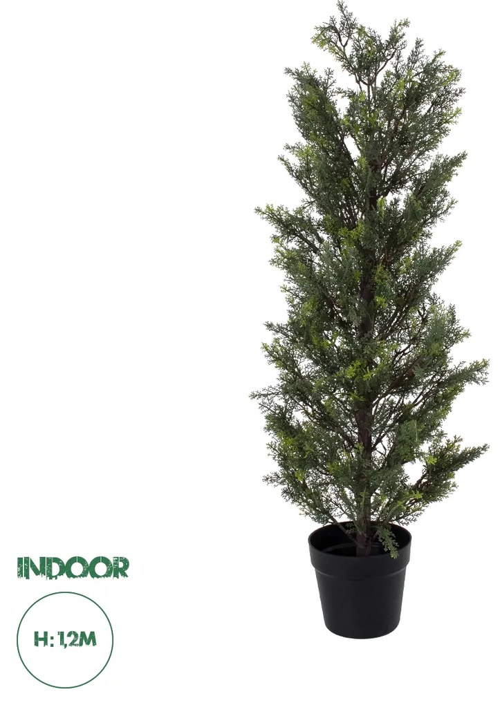 GloboStar® Artificial Garden LEMON CYPRESS 20151 Τεχνητό Διακοσμητικό Φυτό Λεμονόκυπάρισσο Υ120cm