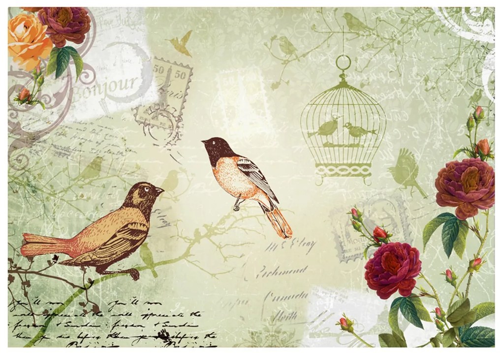 Φωτοταπετσαρία - Vintage birds 350x245