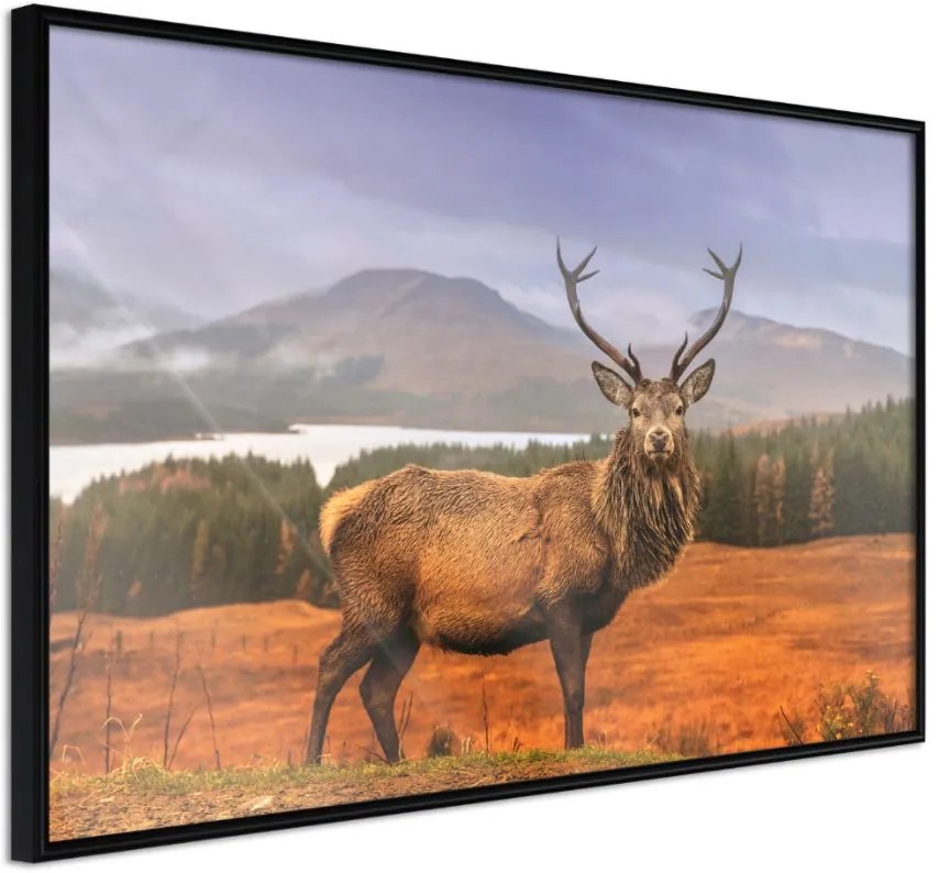 Αφίσα - Majestic Deer - 45x30 - Μαύρο - Χωρίς πασπαρτού