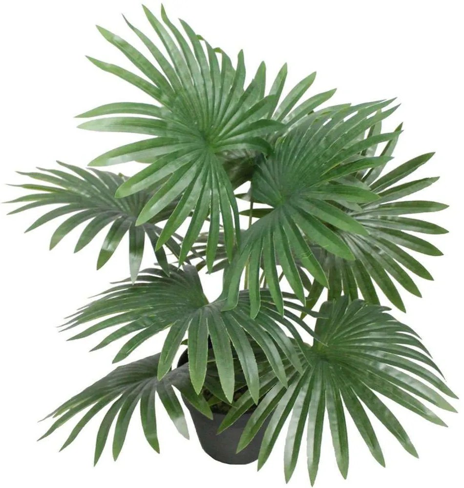 Τεχνητό Φυτό Φοίνικας Washingtonia 8001-6 48cm Green Supergreens Polyethylene,Fabric