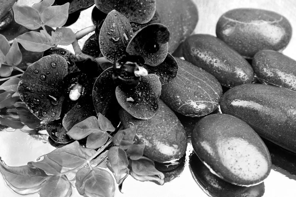 Εικόνα ανθισμένης ορχιδέας και πέτρες σπα σε ασπρόμαυρο - 90x60