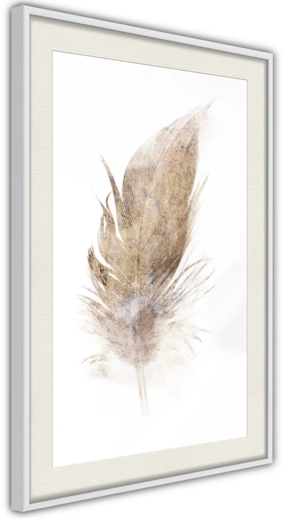 Αφίσα - Lost Feather (Beige) - 20x30 - Μαύρο - Χωρίς πασπαρτού