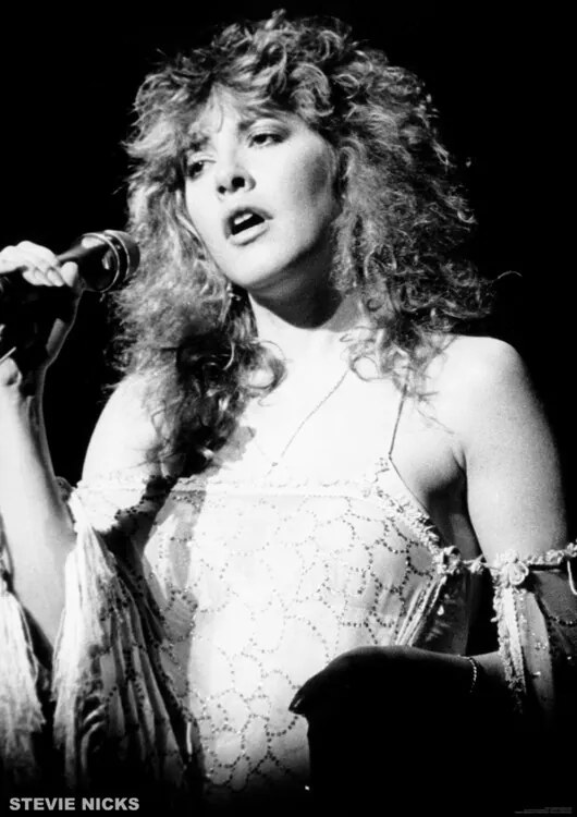 Αφίσα Stevie Nicks - live