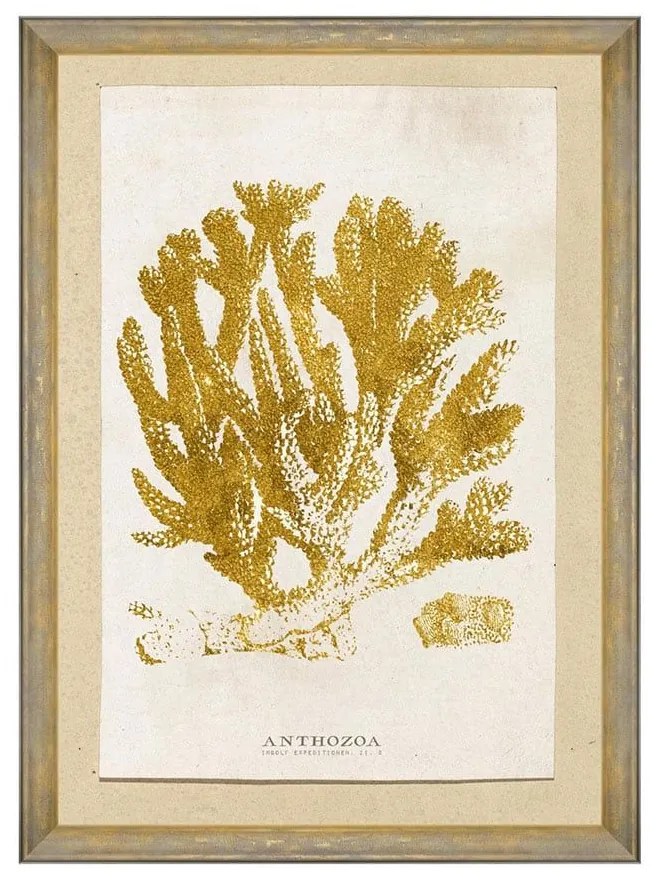 Κάδρο Caribbean Sea Life - Anthozoa Coral FA13223 50X70 MindTheGap Κάθετοι Wood