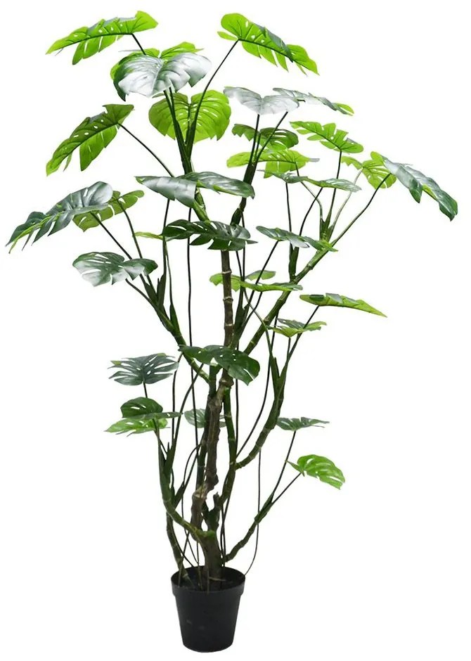Τεχνητό Δέντρο Μονστέρα 3701-6 240cm Green Supergreens Plastic