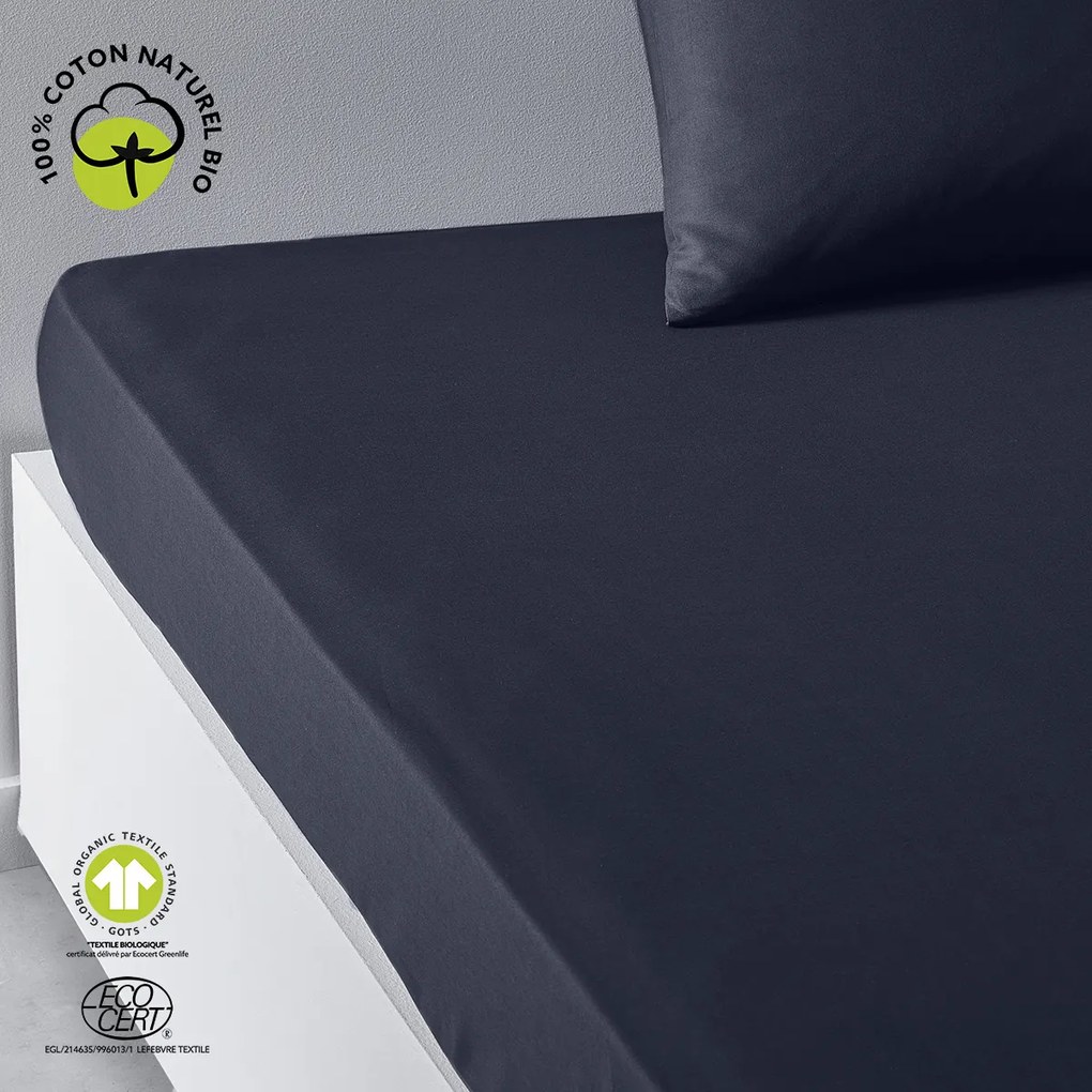 Σεντόνια με λάστιχο Today  DH 140/200+30 Coton TODAY Organic Navy