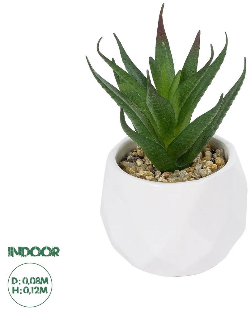 Artificial Garden SUCCULENT ALOE POTTED PLANT 20993 Διακοσμητικό Φυτό Αλόη Φ8 x Υ12cm