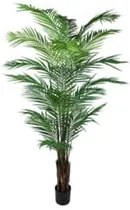 Plant in Pot CONCORAL Areca Luxe 4000863-GR