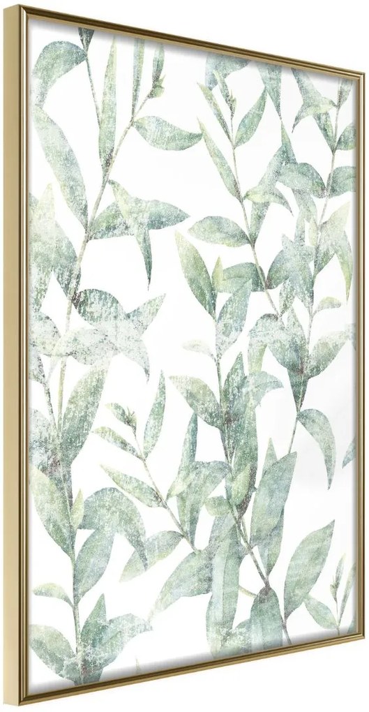 Αφίσα - Sheer Batiste - 20x30 - Χρυσό - Χωρίς πασπαρτού