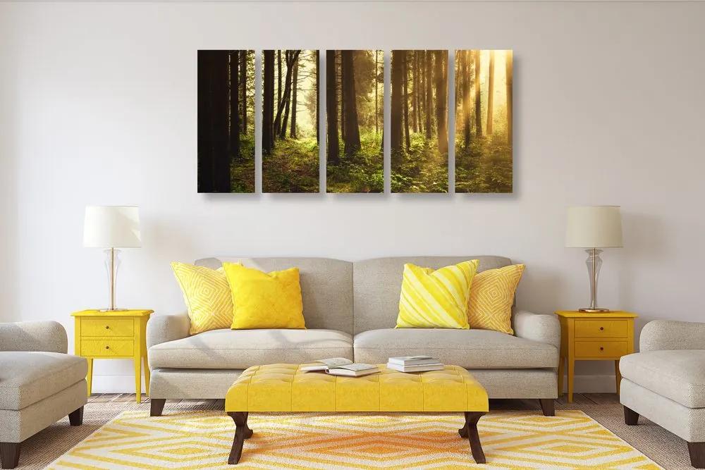 Δάσος με εικόνα 5 μερών λουσμένο στον ήλιο - 200x100