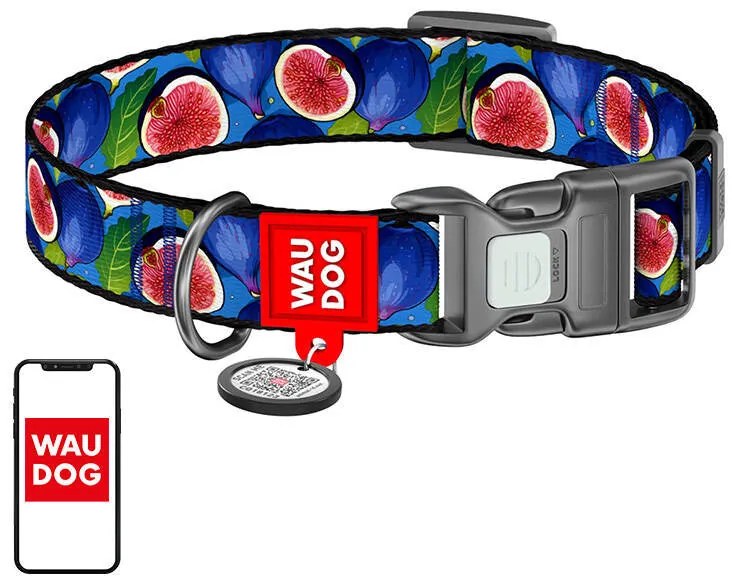 Nylon dog collar with QR code Waudog "Fig" size XL
