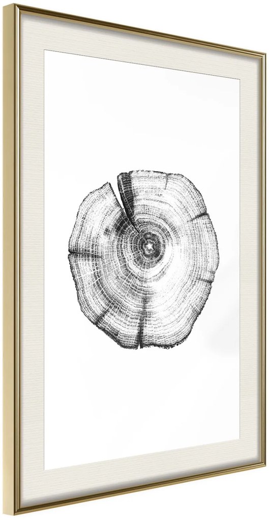 Αφίσα - Tree Rings - 20x30 - Χρυσό - Με πασπαρτού