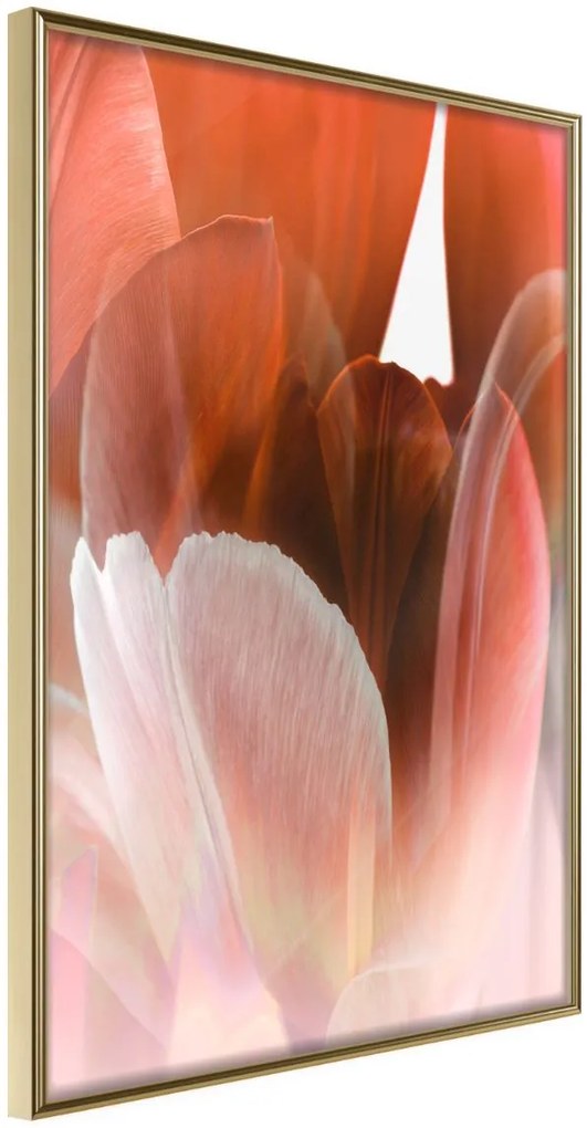 Αφίσα - Tulip Petals - 30x45 - Χρυσό - Χωρίς πασπαρτού