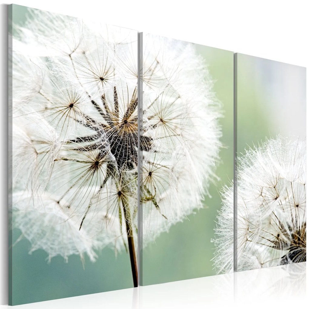 Πίνακας - Fluffy dandelions 120x80