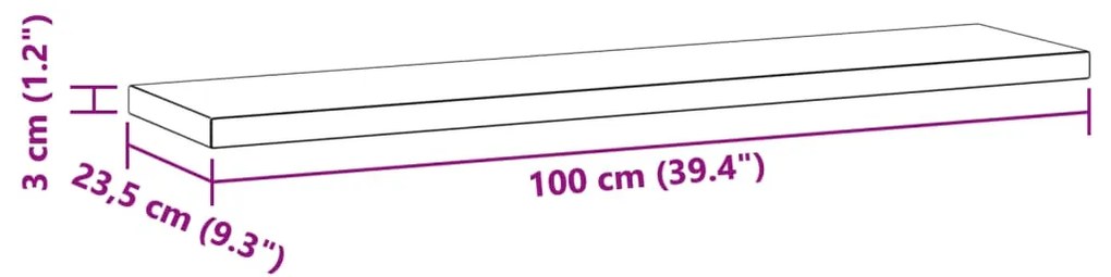 Ράφια Τοίχου 2 τεμ. Ασημί 100x23,5x3 εκ. Ανοξείδωτο Ατσάλι - Ασήμι