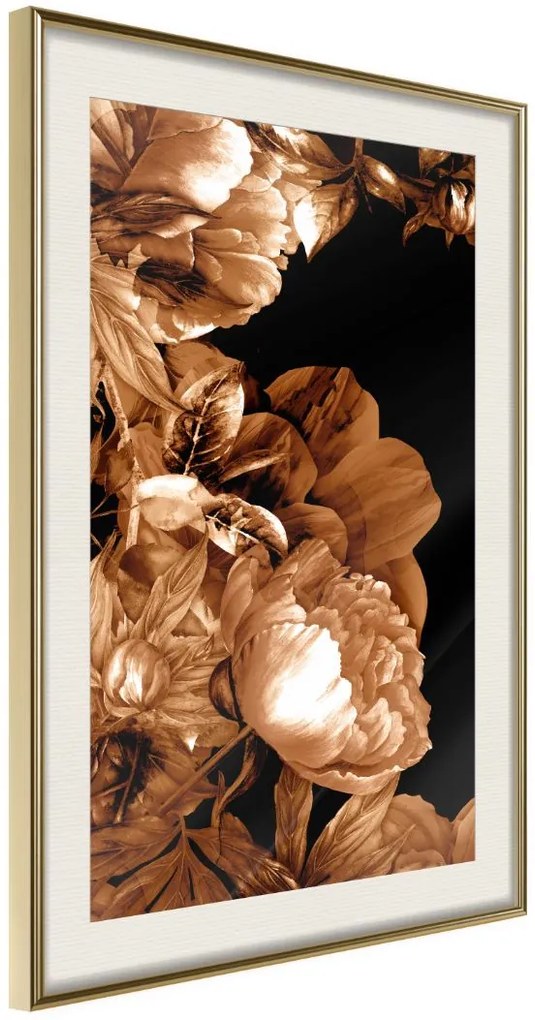 Αφίσα - Summer Flowers in Sepia - 20x30 - Χρυσό - Με πασπαρτού