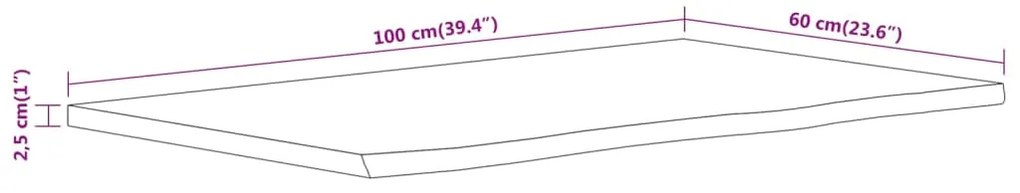 Πάγκος Μπάνιου Ορθογώνιος 100x60x2,5 εκ. από Μασίφ Ξύλο Ακακίας - Καφέ