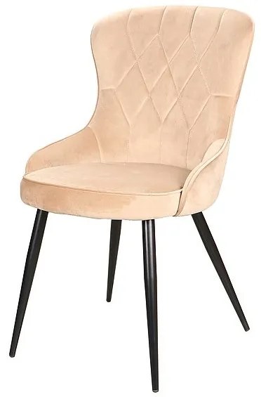 CHAIR LOTUS VELVET BLACK FRAME / BEIGE BLUVEL 28 DIOMMI LOTUSVCBE