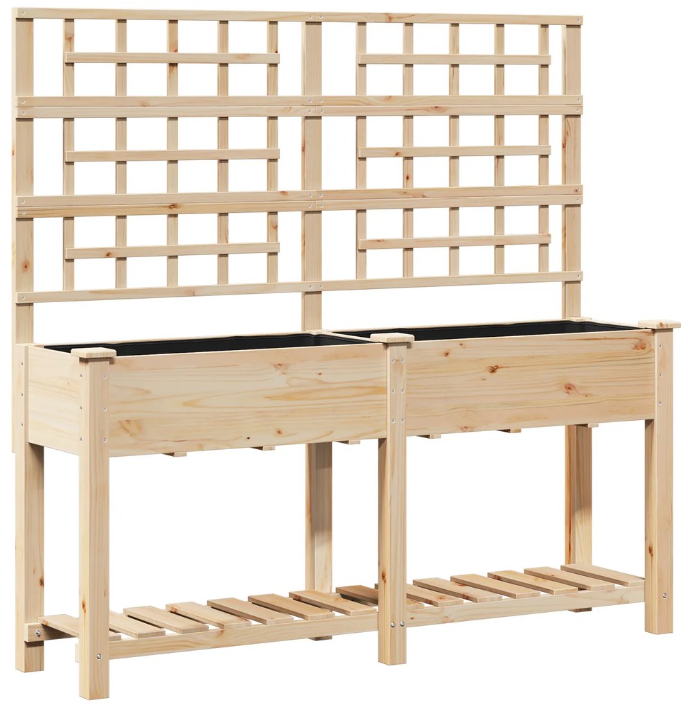 vidaXL Κήπος Γλάστρα με Πλέγμα & Ράφι 161x43x152 εκ. Μασίφ ξύλο πεύκου