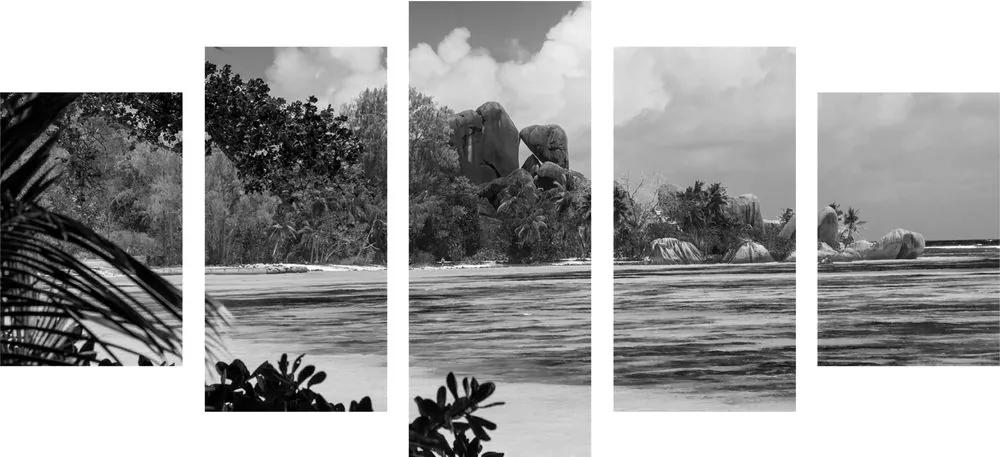 Παραλία με εικόνα 5 μερών στο νησί La Diguo σε ασπρόμαυρο - 100x50