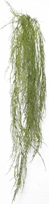 Supergreens Τεχνητή Κρεμαστή Ρουσέλια Πράσινη 110 εκ