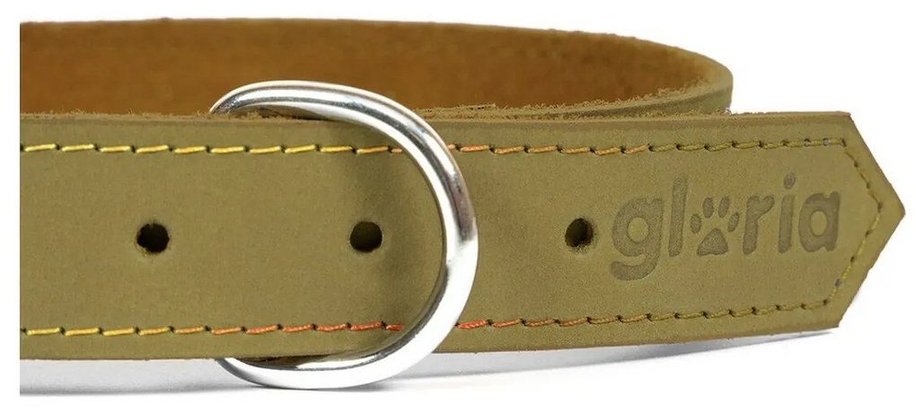 Κολλάρο Σκύλου Gloria Oasis Πράσινο (45 x 1,8 cm)